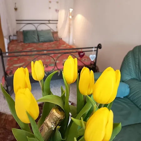 Apartment Divis73