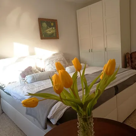 Divis73 Apartmán Loket