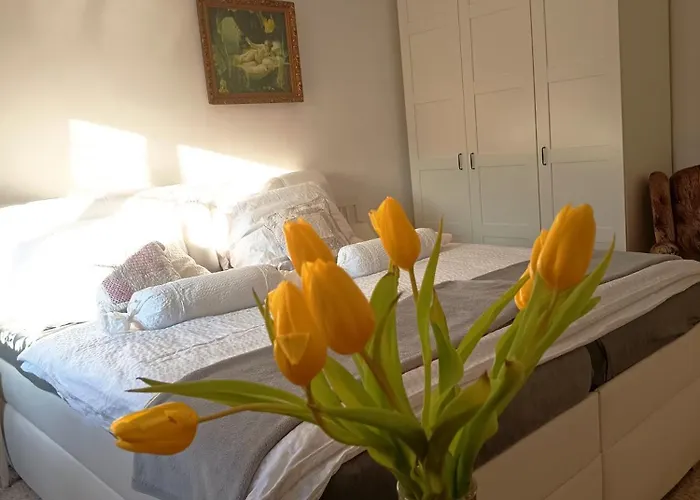Divis73 Apartmán Loket